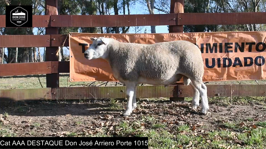 Lote CAT. AAA - LOTE 1