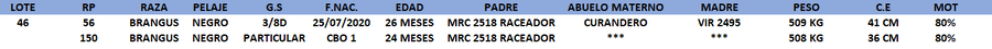 Lote LOTE 46