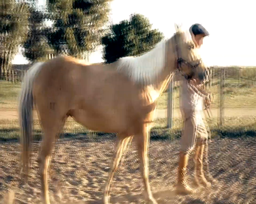 Lote DOÑA ADELA 159