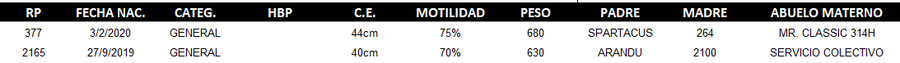 Lote LOTE 55 - DUO