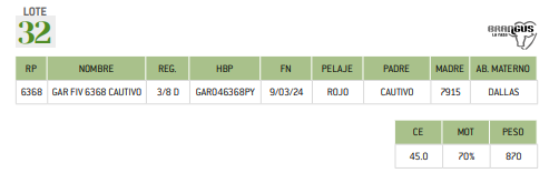 Lote LOTE 32