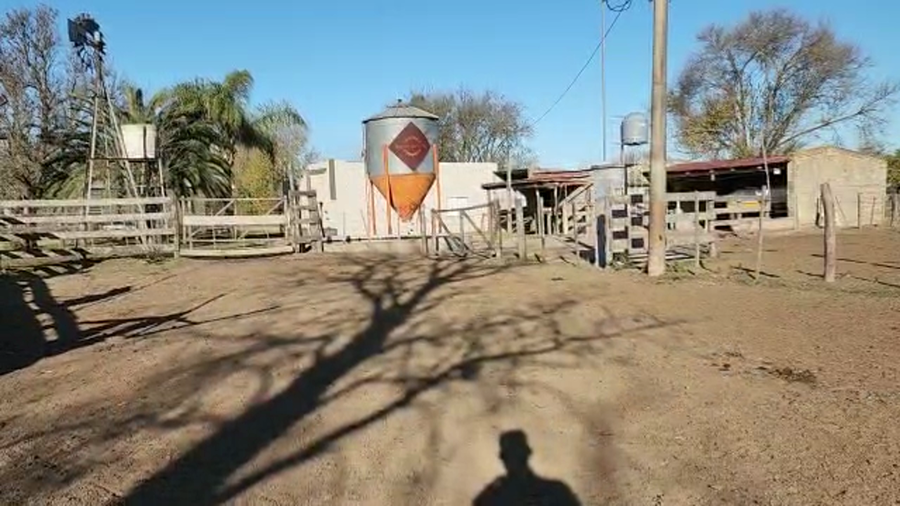 Lote Est. Don Osvaldo - Vaq. Preñadas