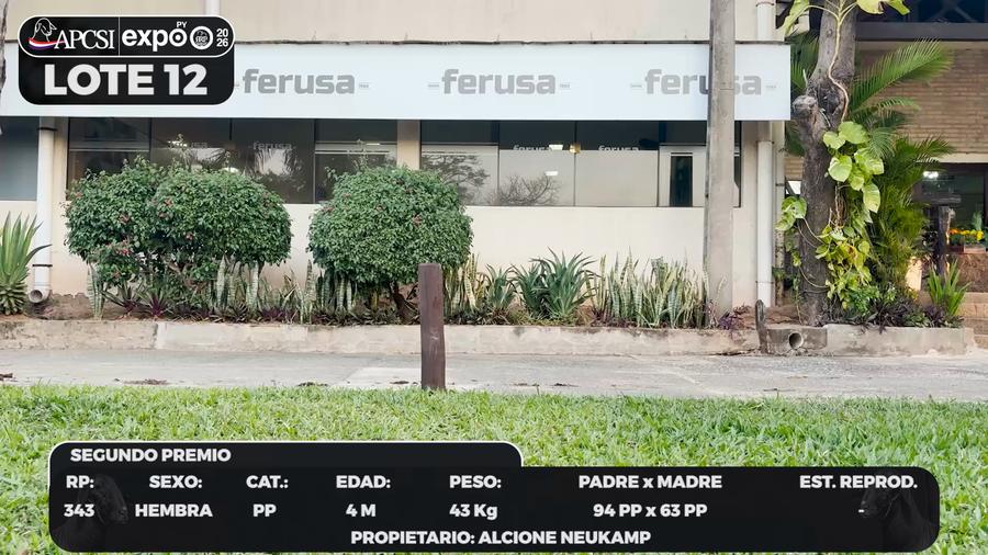 Lote LOTE 12 - BOZAL