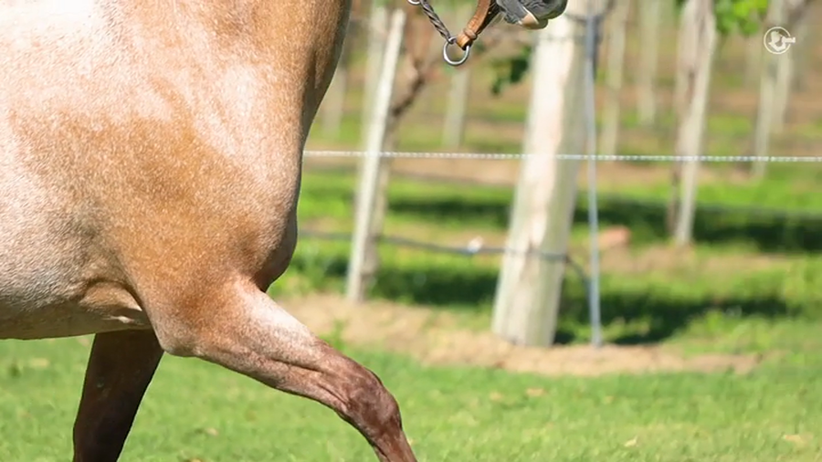 Lote Confianza La Higuera - Cabaña La Higuera