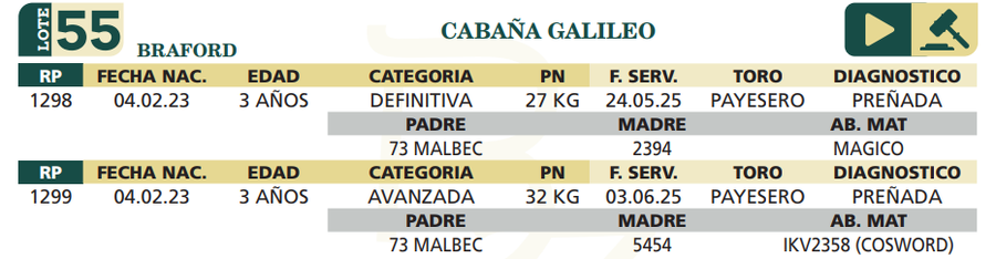 Lote LOTE 55