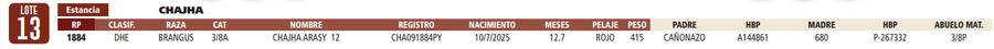 Lote LOTE 13