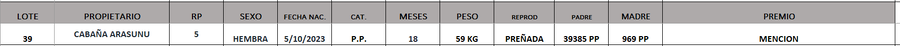 Lote LOTE 39