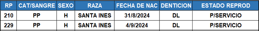 Lote LOTE 64