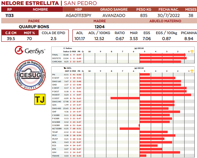 Lote LOTE 2