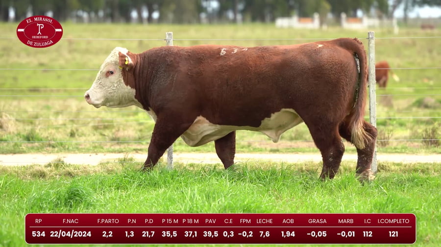 Lote Hereford