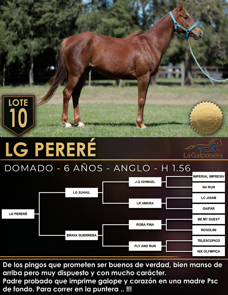 Lote LG PERERÉ