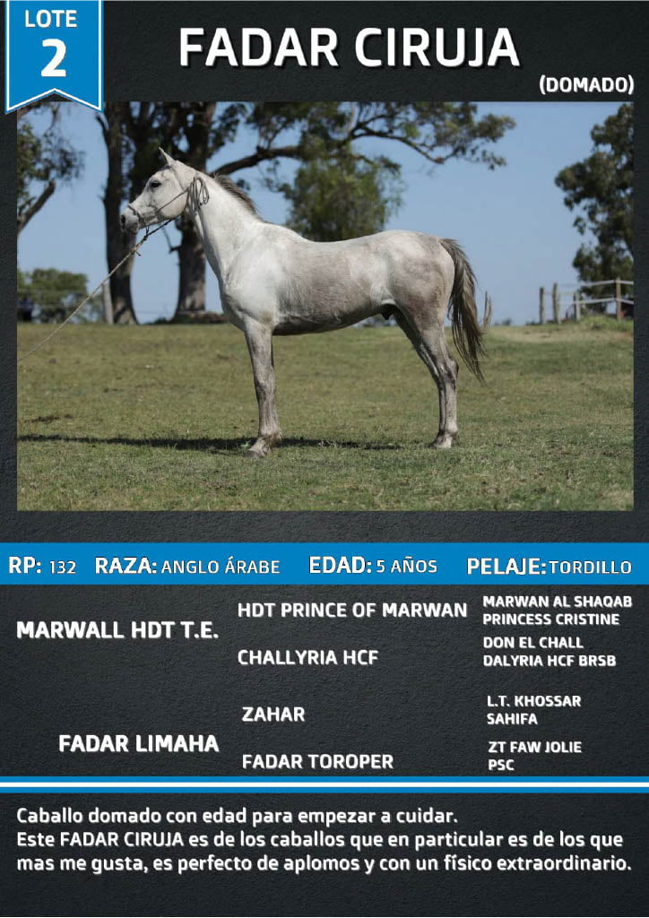 Lote FADAR CIRUJA