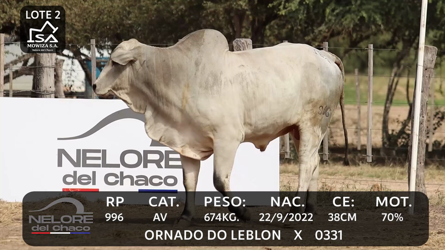 Lote LOTE 2