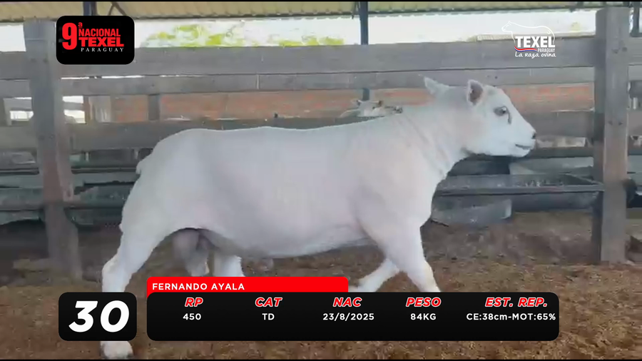 Lote LOTE 30