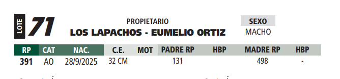 Lote LOTE 71