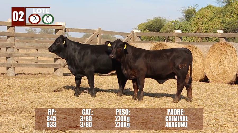 Lote Lote 2 Reserva de Cabaña