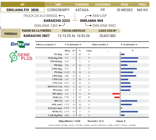 Lote LOTE 54