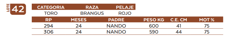 Lote LOTE 42