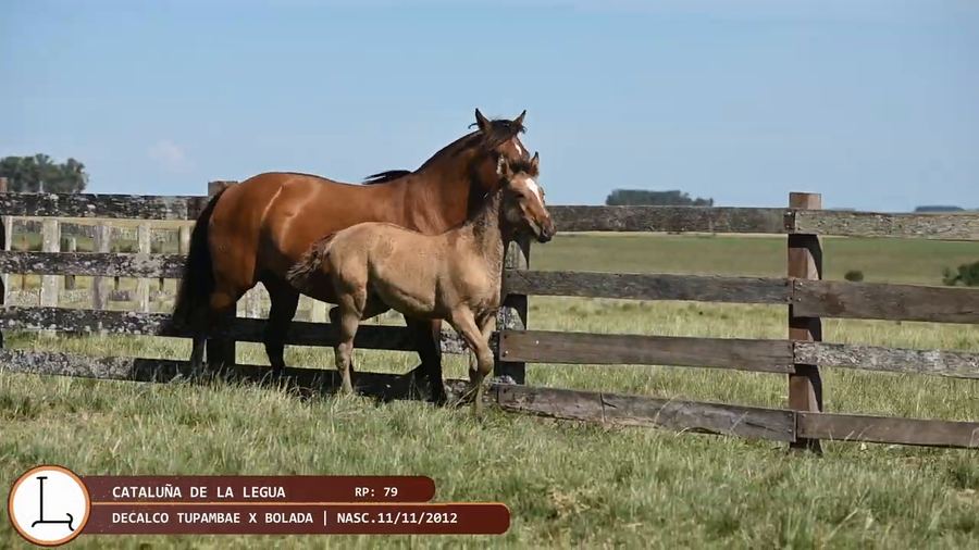 Lote Cataluña de la Legua