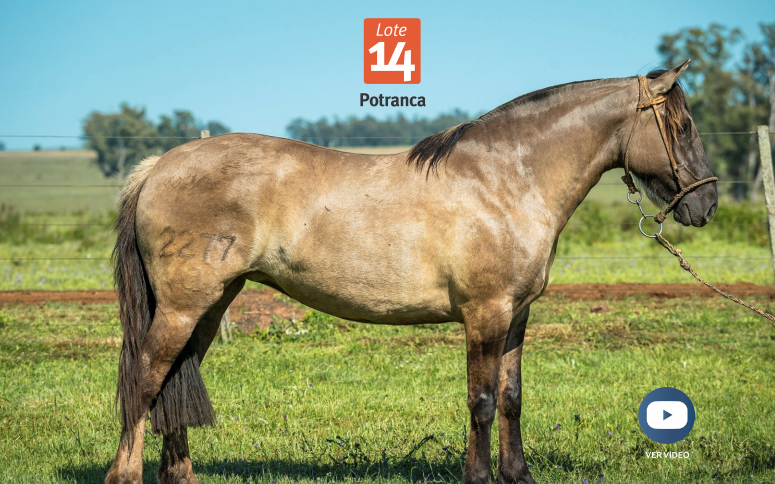 Lote DEL SILENCIO PLATA VIEJA