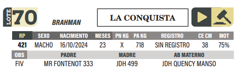 Lote LOTE 70