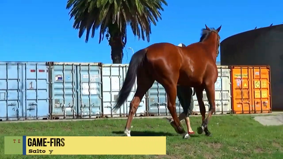 Lote GAME-FIRST (BRZ)