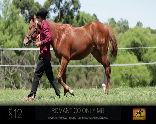 Lote ROMANTICO ONLY MR