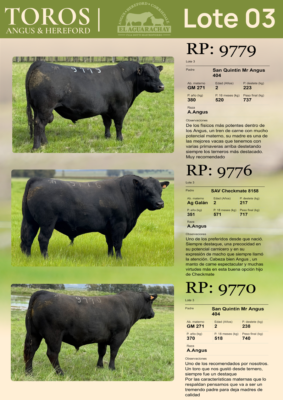 Lote LOTE 03