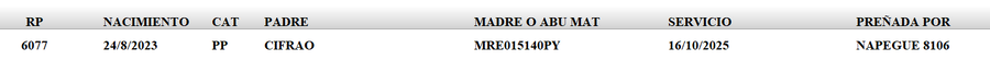 Lote LOTE 23