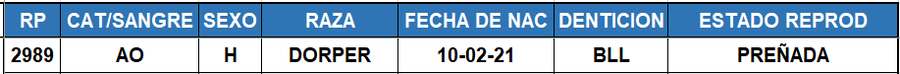 Lote LOTE 4