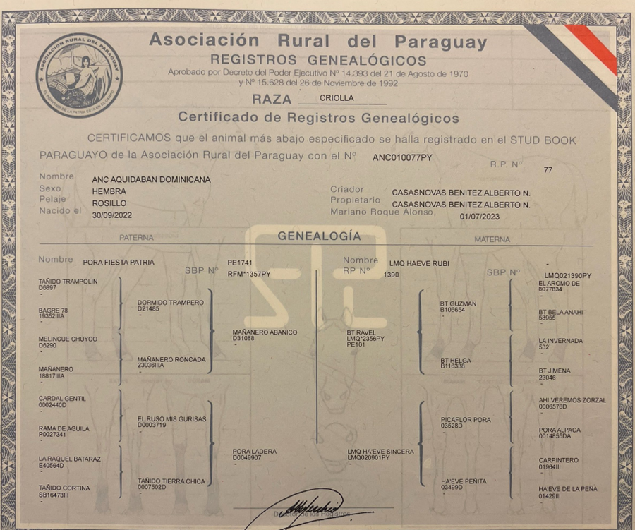 Lote LOTE 12 - DE CAMPO