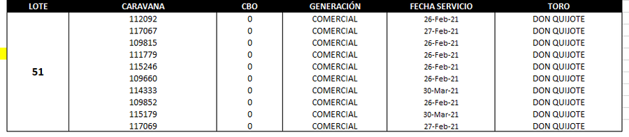 Lote Reproductores de Alborada - Lote 51