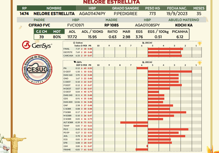 Lote LOTE 9