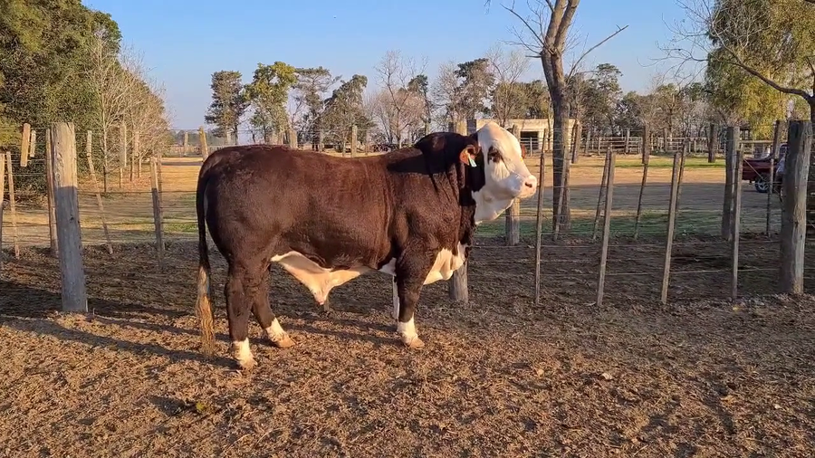Lote CABAÑA LA ESPERANZA