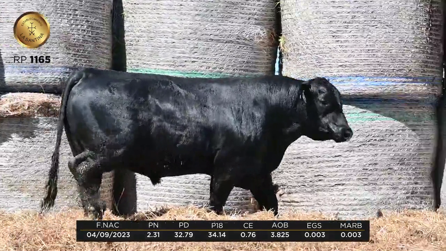 Lote LA SANTINA 4 REAL 883-1165