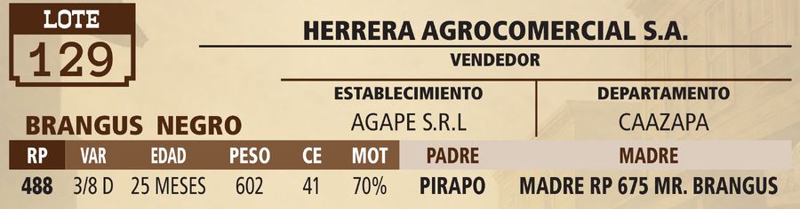Lote LOTE 129 - VIVO