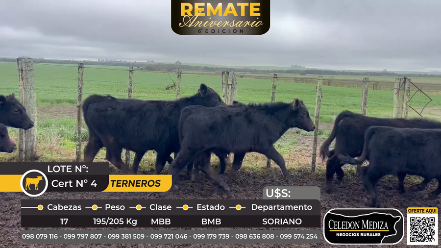 Lote 17 Terneros en Colonia