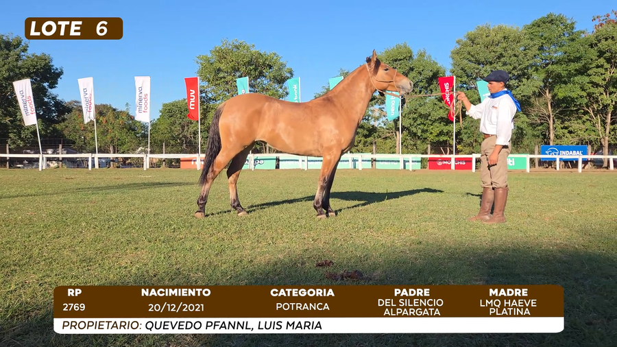Lote LOTE 6
