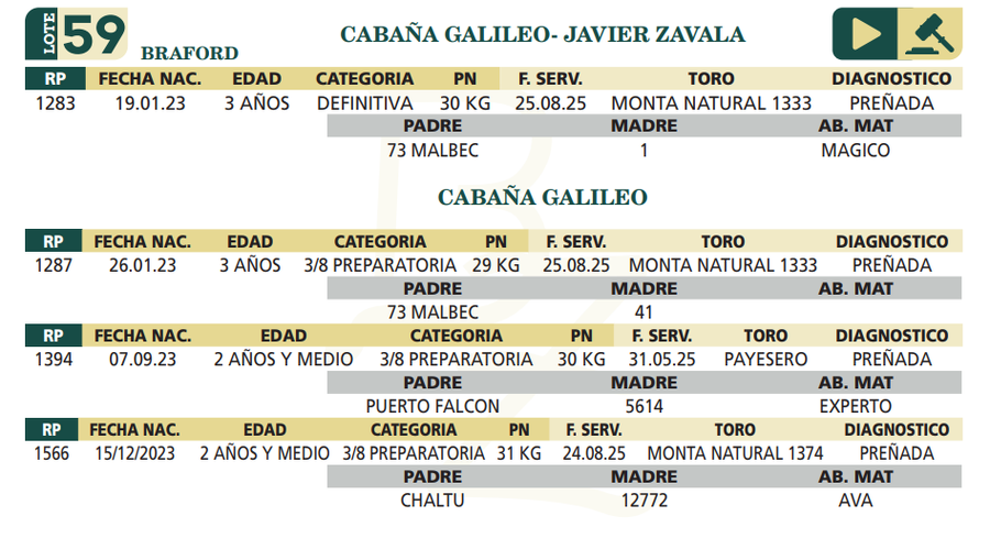 Lote LOTE 59