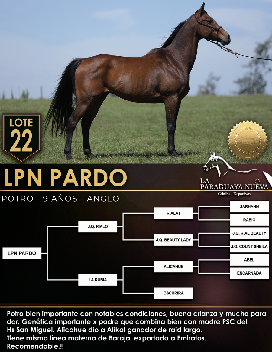 Lote LPN PARDO