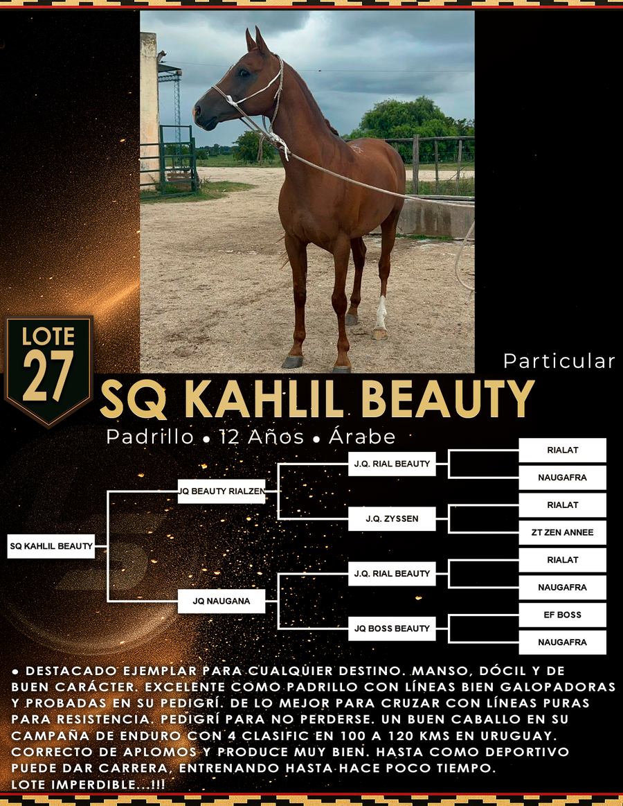 Lote SQ KAHLIL BEAUTY