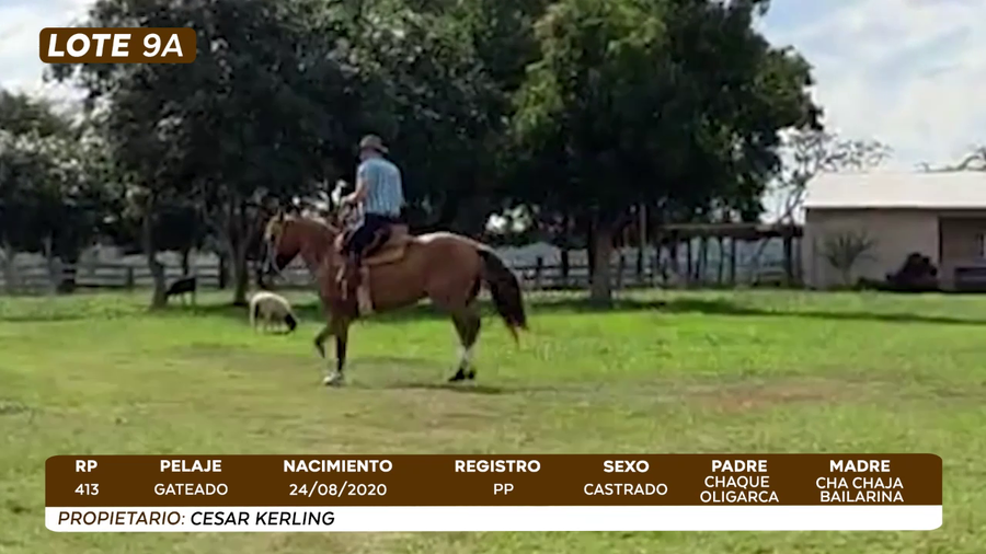 Lote LOTE 9 A- BOZAL