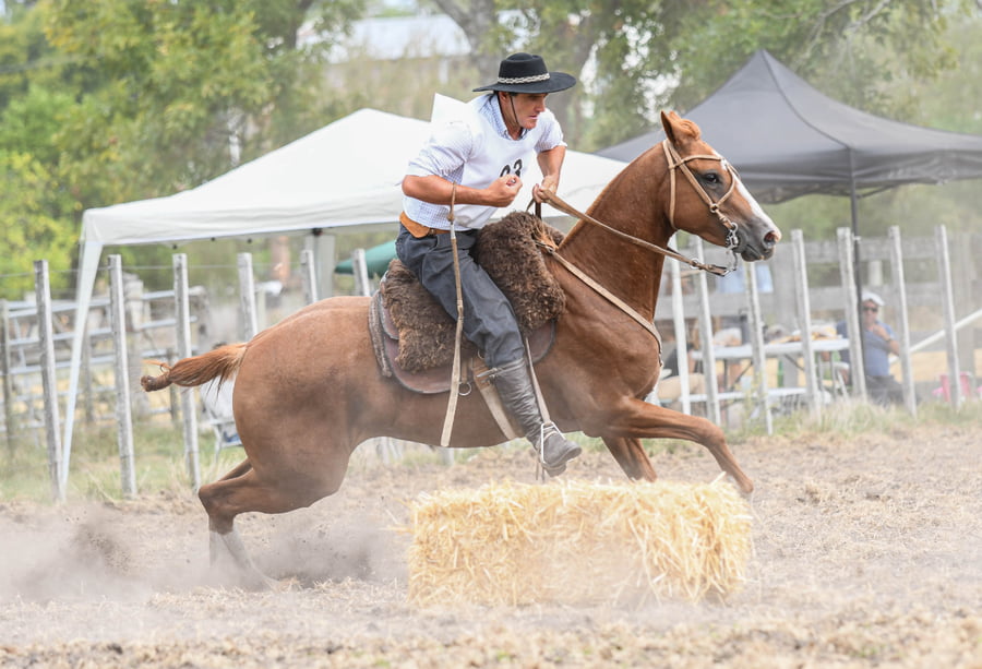 Lote CAÑADA SHAROU 2A