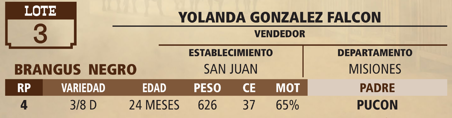 Lote LOTE 3 - VIVO