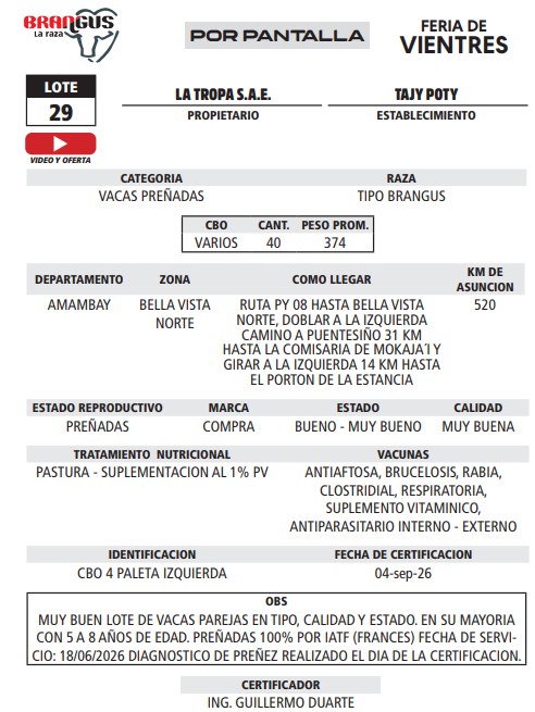 Lote LOTE 29 - POR PANTALLA