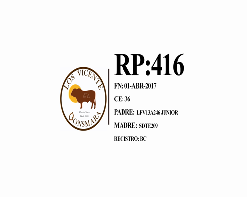 Lote Toro Cabaña Los Vicente (RP416)