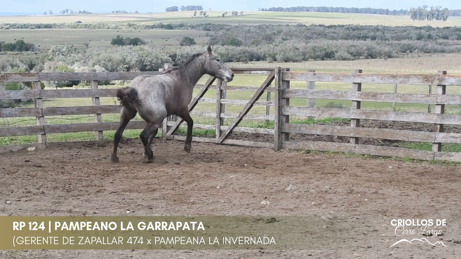 Lote PAMPEANO LA GARRAPATA