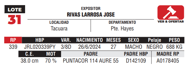 Lote LOTE 31 - DE CAMPO