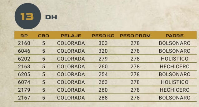 Lote LOTE 13