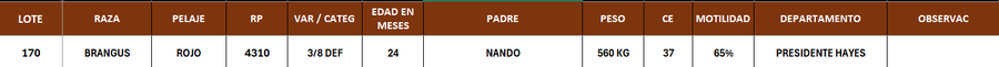 Lote LOTE 170 - POR PANTALLA